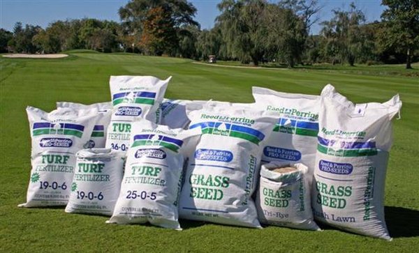 GRASS-SEED.jpg