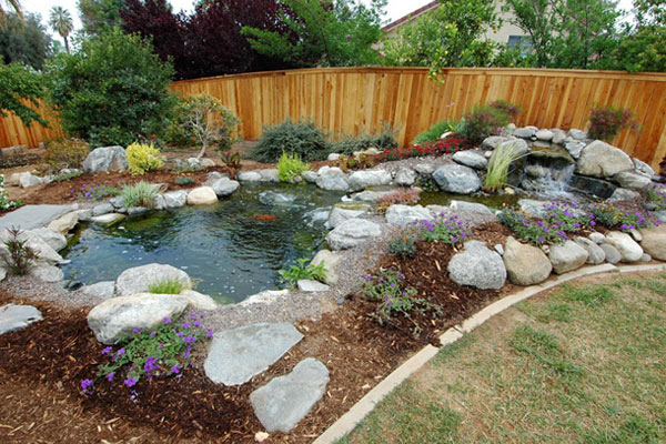 Pond-Supplies.jpg
